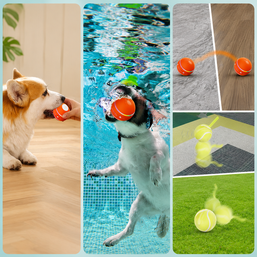 Active Ball Play for Dogs Anywhere