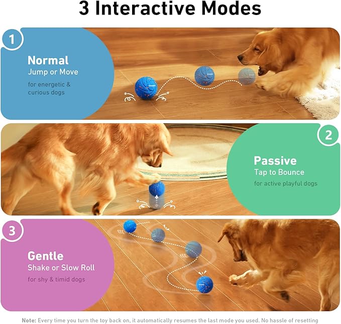 Interactive Dog Toy Ball for Active Play