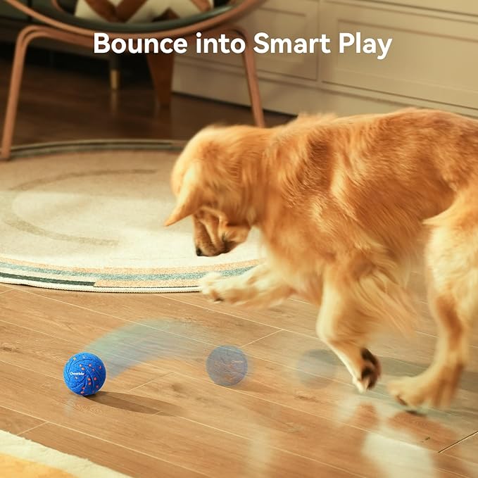 Interactive Dog Toy Ball for Active Play